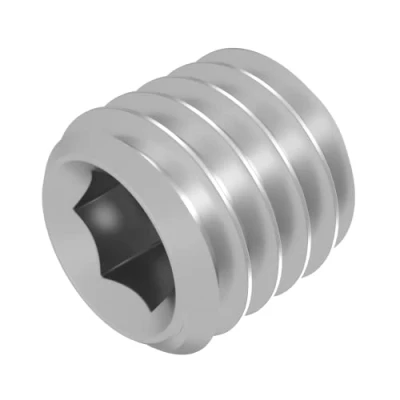 Afbeelding van SECCARO stelschroef met conische punt M6 x 6 mm, RVS V2A VA A2, DIN 913 / ISO 4026, binnenzeskant, 20 stuks