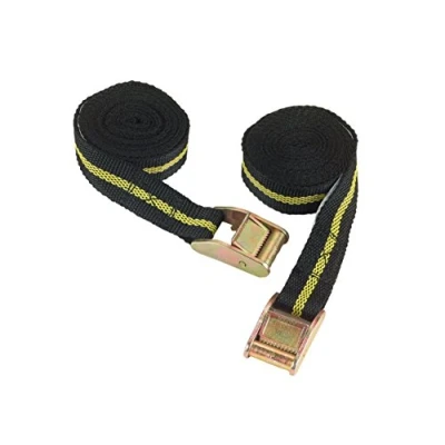 Afbeelding van Spanband met klemgesp 2,5m/25mm 2 stuks