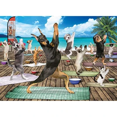 Afbeelding van Eurographics Puzzel Harmony Rob LaChance (1000 stukjes)
