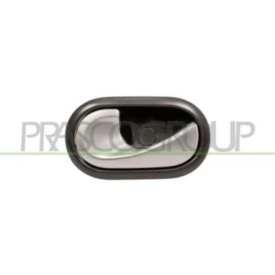 Afbeelding van Handgreep, interieur PRASCO DA2208622