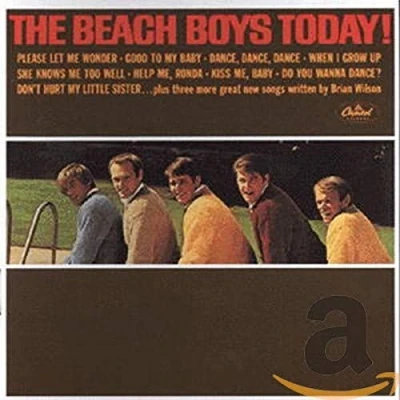 Afbeelding van The Beach Boys Summer Days And Nights/ (CD)
