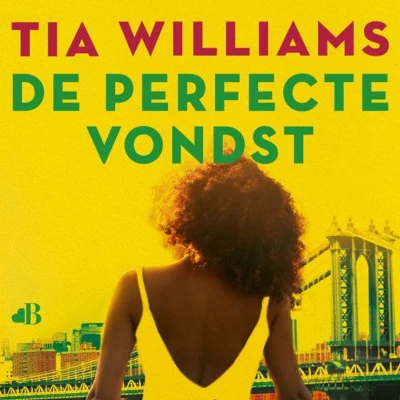 Afbeelding van De perfecte vondst