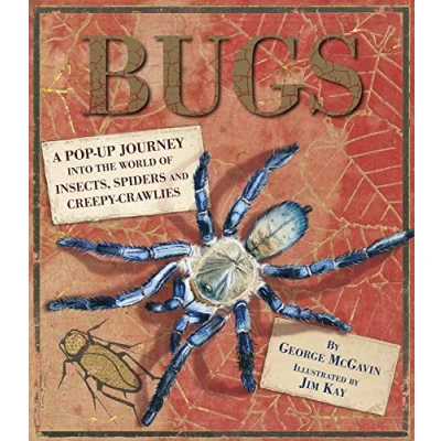 Afbeelding van Bugs: A Pop up Journey into the World of Insects, Spiders and Creepy crawlies