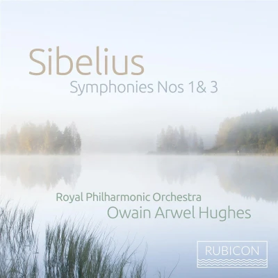Afbeelding van Royal Philharmonic Orchestra, Owain Arwel Hughes Sibelius: Symphonies Nos. 1 &amp; 3 (CD)