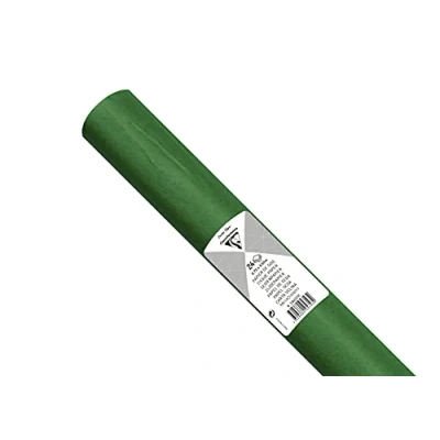 Afbeelding van Clairefontaine 394021C zijdepapier (verpakking met 24 vellen, 50 x 75 cm, 18 g/m², ideaal voor decoratie en knutselprojecten) 1 verpakking, groen