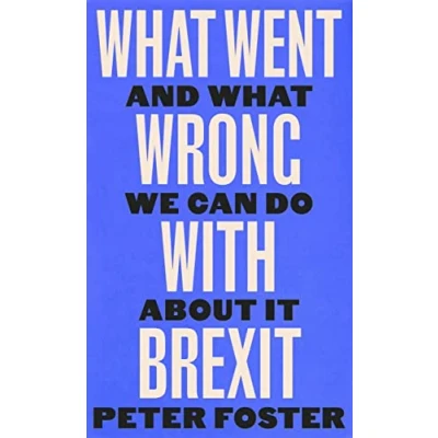 Afbeelding van What Went Wrong With Brexit: And We Can Do About It