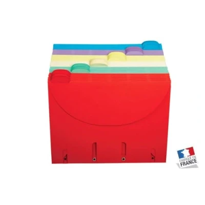 Afbeelding van Opbergmap geperforeerd Smartfolder met tab A4 assorti Djois