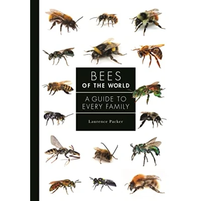 Afbeelding van Bees of the World: A Guide to Every Family: 5