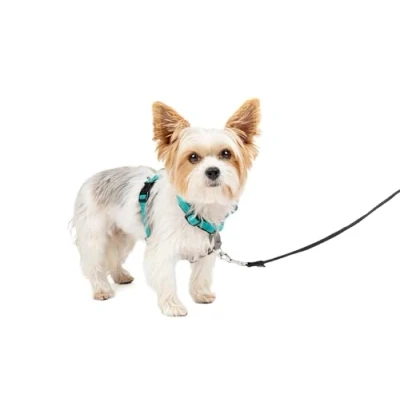 Afbeelding van PetSafe 3 in 1 harnas en autobeveiliging, extra klein, blauwgroen, geen trek, verstelbaar, training voor kleine/middelgrote/grote honden