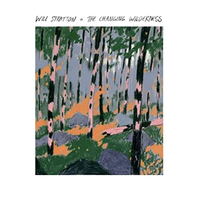 Afbeelding van Will Stratton Changing Wilderness