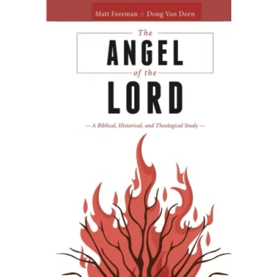 Afbeelding van the Angel of LORD: A Biblical, Historical, and Theological Study