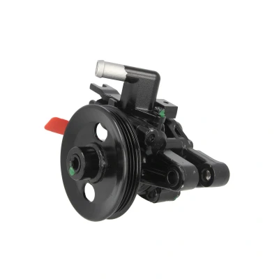 Afbeelding van Lauber Servopomp 55.5710