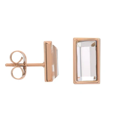Afbeelding van Ear Studs Expression Rectangle iXXXi Oorbellen Rosé