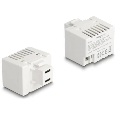 Afbeelding van Delock Keystone Modul mit 2 x USB Type C™ Ladebuchsen PD 20 W weiß