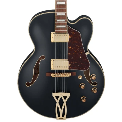Afbeelding van Ibanez AF75G BKF Black Flat