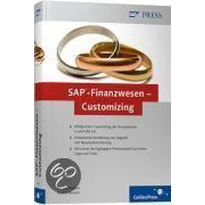Afbeelding van Sap Finanzwesen Customizing