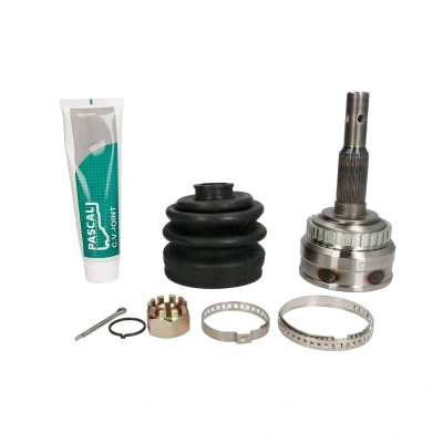 Afbeelding van Askoppeling PASCAL G1X012PC