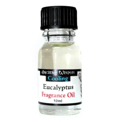 Afbeelding van Geurolie voor Aroma Diffuser Eucalyptus 10ml Geurverspreider