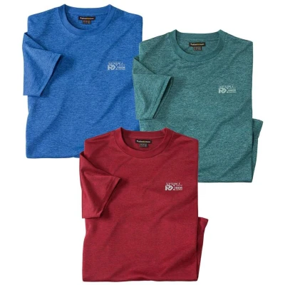 Afbeelding van Atlas for Men Set van 3 T shirts Jersey Heren Verkrijgbaar in grote maten 4XL