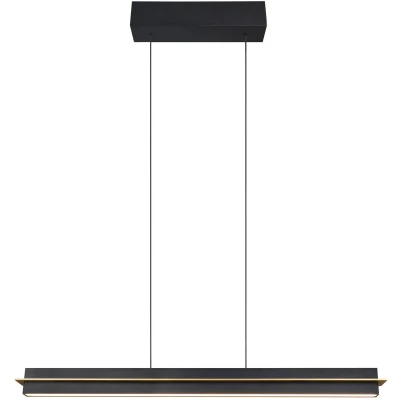 Afbeelding van Trio Design hanglamp Emerson zwart 346710180