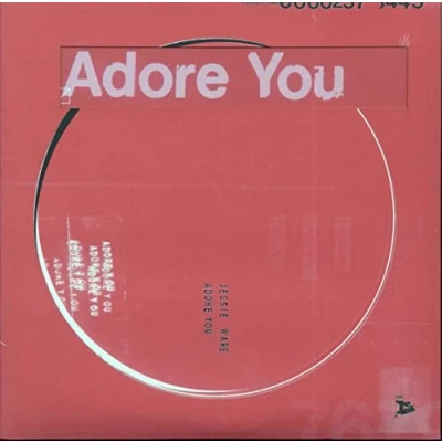 Afbeelding van Adore You
