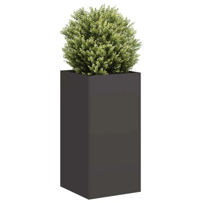 Afbeelding van Plantenbak 40x40x80 cm koudgewalst staal zwart