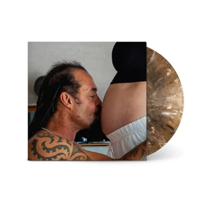Afbeelding van Michael Franti &amp; Spearhead Welcome To The Family (LP)
