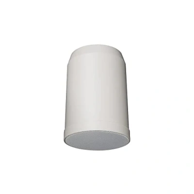 Afbeelding van DAP HS 510P 10W 5&quot; Hanging Speaker