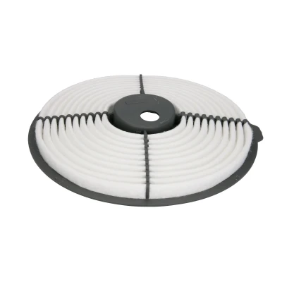 Afbeelding van Jc Premium Luchtfilter B22026PR