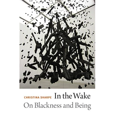 Afbeelding van In the Wake : On Blackness And Being /anglais