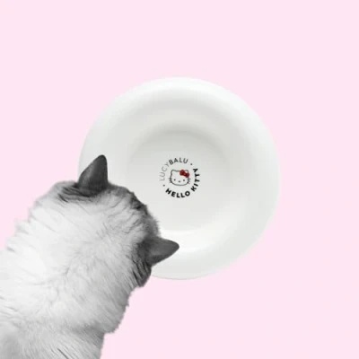 Afbeelding van LucyBalu X Hello Kitty Drop Kattenbak van porselein, verhoogde kattenvoerbak, waterbak voor katten, porseleinen voerbak, drinkbak kat, ergonomische zwart