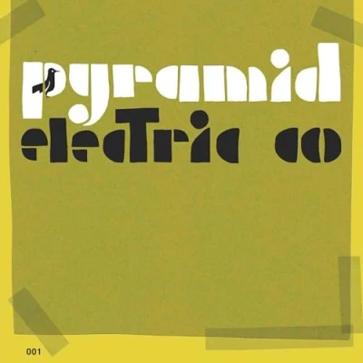 Afbeelding van Jason Molina Pyramid Electric Co