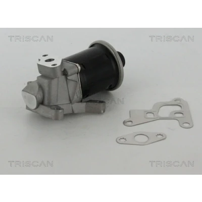 Afbeelding van Triscan EGR klep 8813 29100
