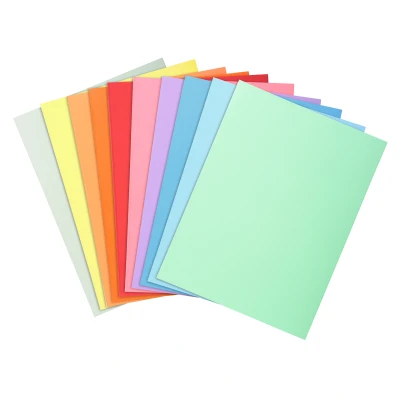 Afbeelding van Exacompta ref. 330100E Set van 10 stevige pastelkleurige dossiermappen SUPER 210 g/m² in PEFC™ gecertificeerde mappen Afmetingen: 24 x 32cm Formaat A4 geassorteerde kleuren