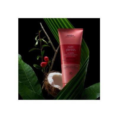 Afbeelding van Aveda Nutriplenish Daily Moisturizing Treatment 150 ml
