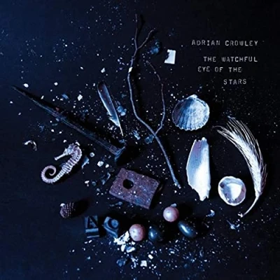 Afbeelding van Quivers Golden Doubt (LP)