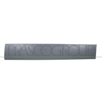 Afbeelding van Sier / beschermingspaneel, deur PRASCO DS9521454