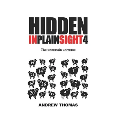 Afbeelding van Hidden In Plain Sight 4: The Uncertain Universe