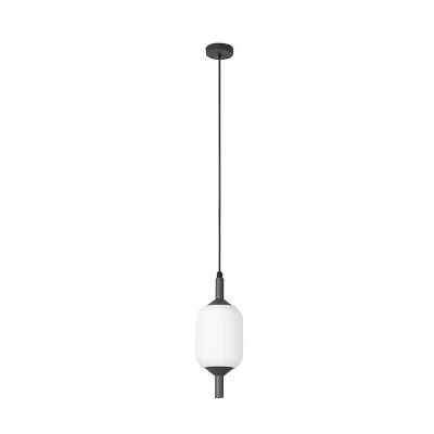 Afbeelding van Faro Lighting Saigon Globe Hanger, E27, IP65