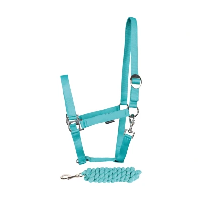 Afbeelding van Harry&#039;s Horse Halsterset Initial Cob Turquoise