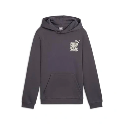 Afbeelding van Puma ess+ mid 90s hoodie in de kleur grijs.