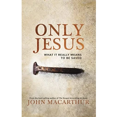 Afbeelding van Only Jesus: What It Really Means to Be Saved