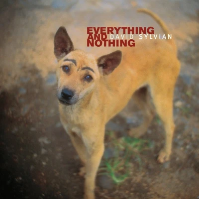 Afbeelding van David Sylvian Everything &amp; Nothing (LP)