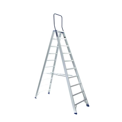 Afbeelding van Dubbele trapladder 2x10 treden Atom + Gratis beugel
