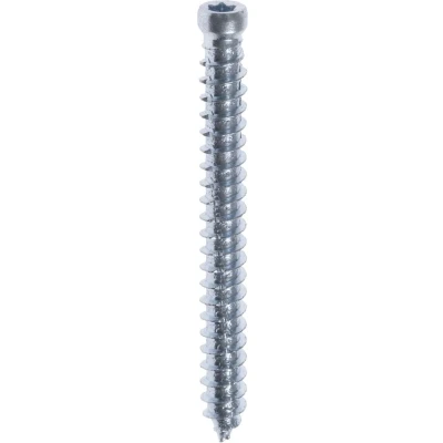 Afbeelding van FIS FIX Beton kozijnschroeven 7.5 x 132 mm cilinderkop staal verzinkt TX25 (Per 100 stuks)