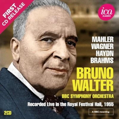 Afbeelding van BBC Symphony Orchestra, Bruno Walter Mahler, Wagner, Haydn &amp; Brahms: Works For Orchestra (2 CD)