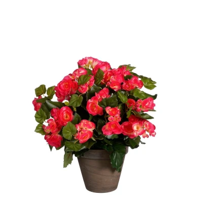Afbeelding van Begonia Kunstplant in Bloempot Stan H37 x Ø36 cm Donkerroze