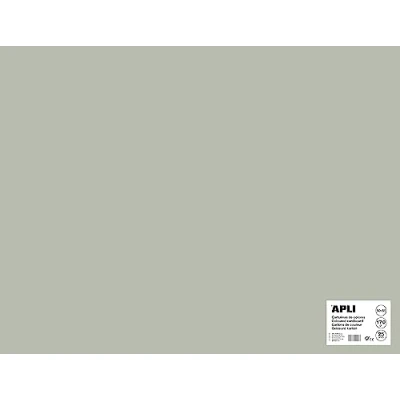 Afbeelding van APLI Grijs Karton 50 x 65 cm 170 g/m² 25 vel