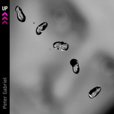 Afbeelding van Peter Gabriel Up (CD)