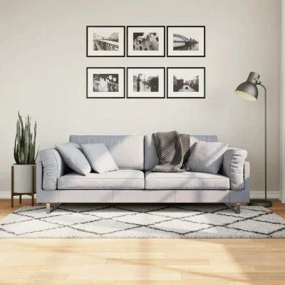 Afbeelding van Vloerkleed shaggy hoogpolig modern 100x200 cm crème en zwart